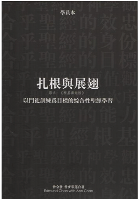 Roots & Wings - Workbook (Simplified Chinese)
