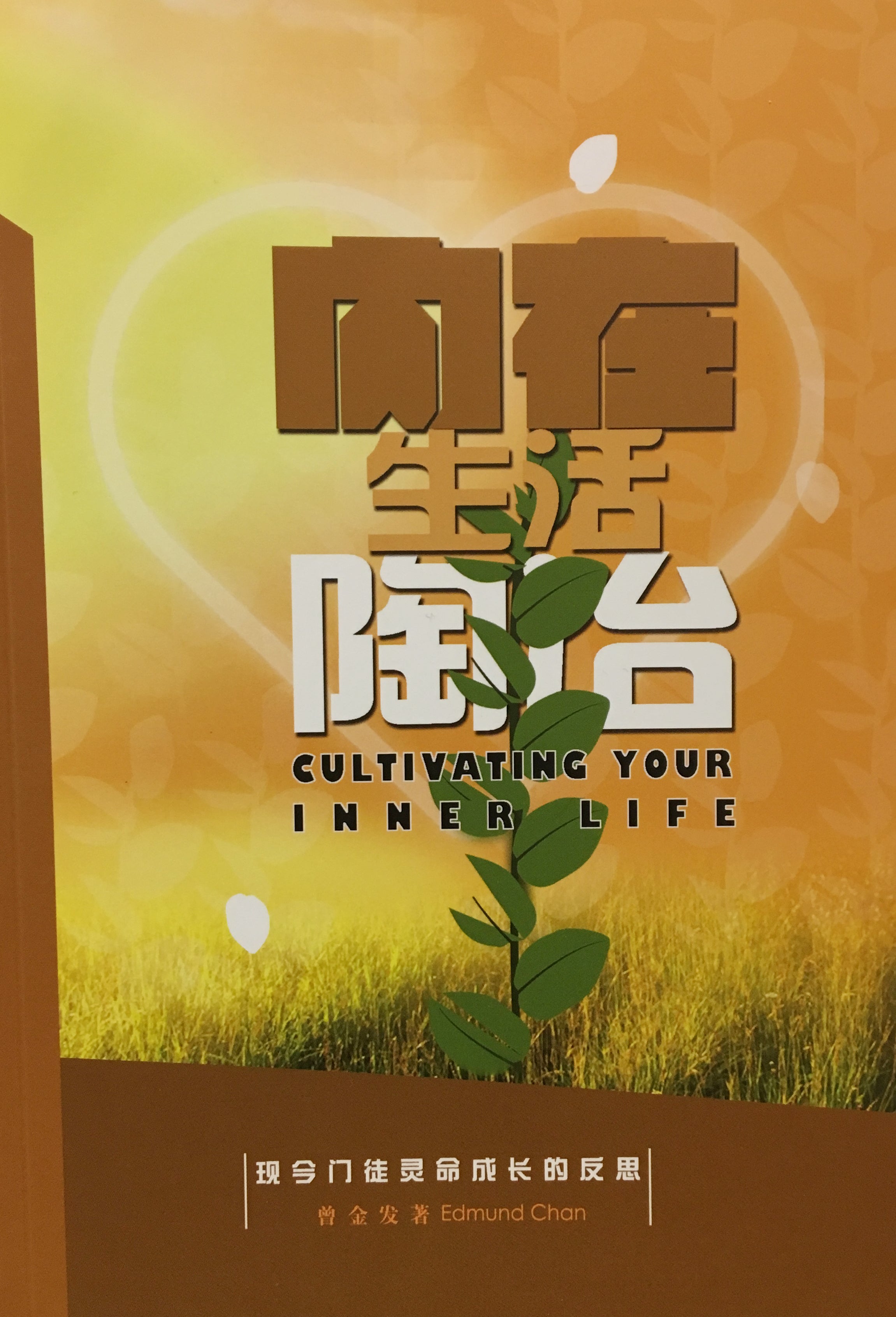 Cultivating Your Inner Life (Simplified Chinese)
